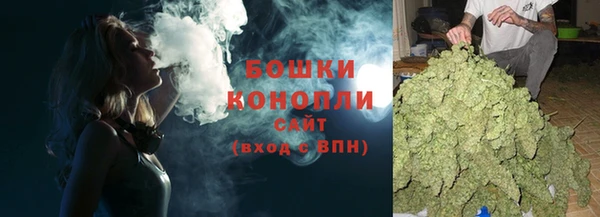 шишки Киреевск