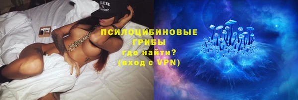 шишки Киреевск