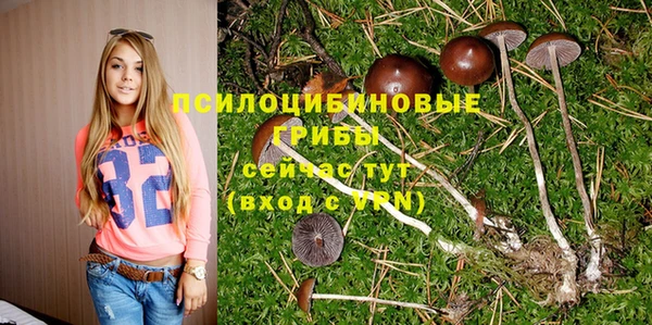 таблы Кинешма
