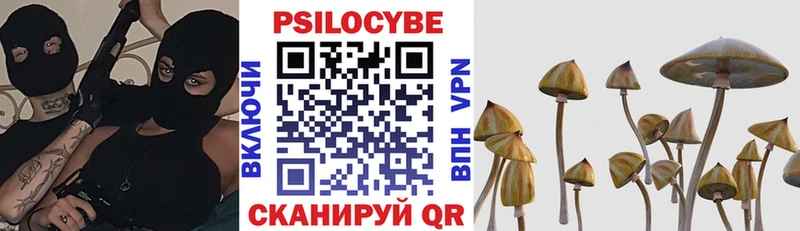 Купить где  Малоархангельск  Псилоцибиновые грибы GOLDEN TEACHER 
